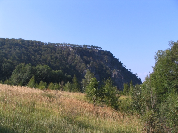 Muntele Trescovăț văzut dinspre vest